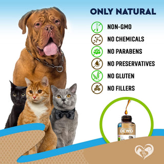 Cats Dogs Natural Worm Treatment with Probiotic Liquid Herbal Medicine Daily Use