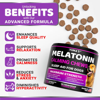 Melatonin Calming Chews for Dogs / Stress and Anxiety Relief