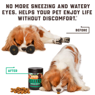 Natural Dog Allergy Chews with Omega Probiotics Apple Cider Vinegar