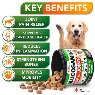 Glucosamine for Dogs Hip and Joint Supplement