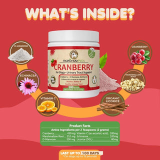 Dog Cranberry Supplement Natural Dog UTI Treatment & Kidney Support