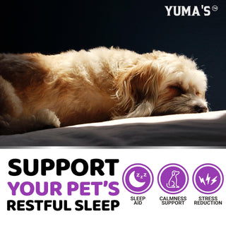 Melatonin Calming Chews for Dogs / Stress and Anxiety Relief