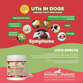 Dog Cranberry Supplement Natural Dog UTI Treatment & Kidney Support