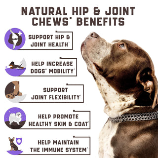 Glucosamine for Dogs Functional Joint Supplement