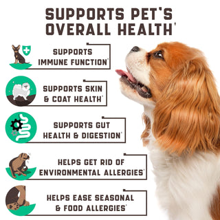 Natural Dog Allergy Chews with Omega Probiotics Apple Cider Vinegar