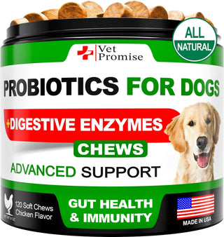 Probiotics for Dogs Digestive Enzymes for Good Health Itchy Skin