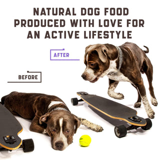 Glucosamine for Dogs Functional Joint Supplement