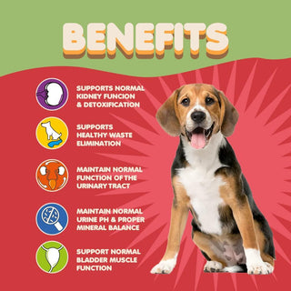Dog Cranberry Supplement Natural Dog UTI Treatment & Kidney Support