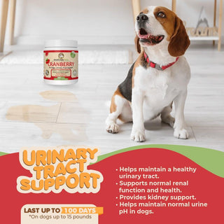 Dog Cranberry Supplement Natural Dog UTI Treatment & Kidney Support
