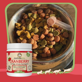 Dog Cranberry Supplement Natural Dog UTI Treatment & Kidney Support