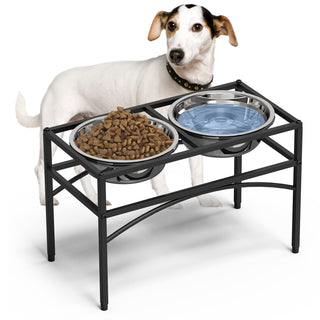 Raised Pet Feeder